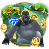 Epic Ape